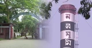 দাম বাড়ায় আখের আবাদ বেড়েছে নাটোরে